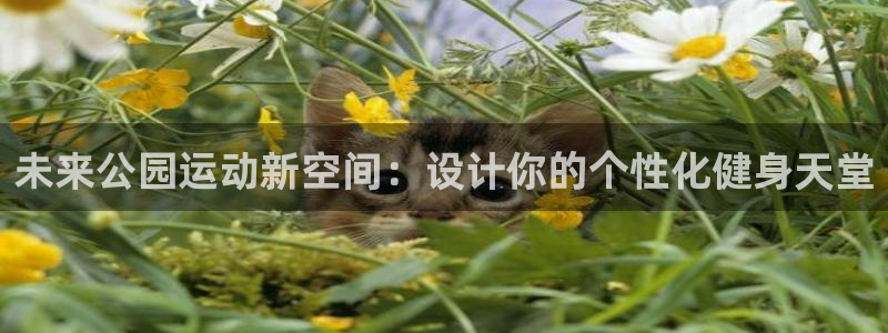 凯捷体育平台注册要钱吗:未来公园运动新空间:设计你的个性化健