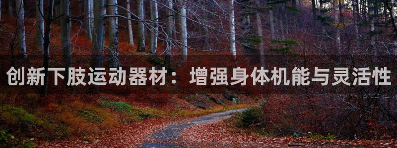 注册凯捷体育:创新下肢运动器材:增强身体机能与灵活性