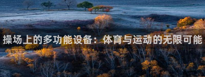 意昂集团官网:操场上的多功能设备:体育与运动的无限可能