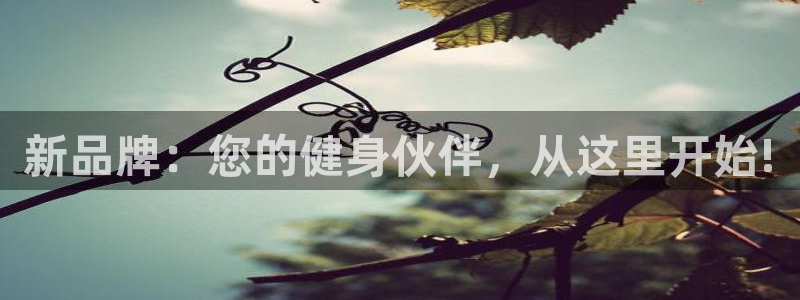 凯捷体育集团E.ON:新品牌:您的健身伙伴,从这里开始!