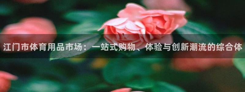 凯捷体育招商:江门市体育用品市场:一站式购物、体验与创新潮流