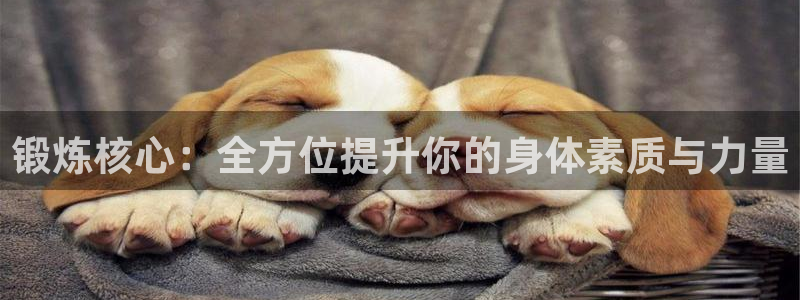 凯捷体育平台:锻炼核心:全方位提升你的身体素质与力量