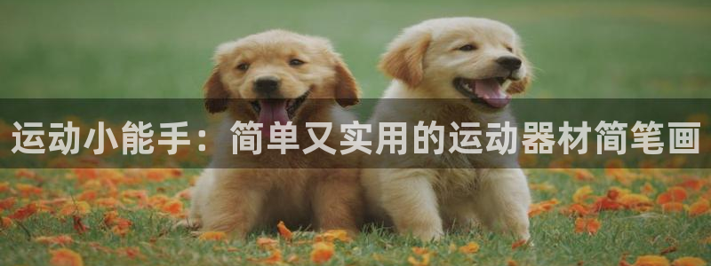 凯捷体育集团logo:运动小能手:简单又实用的运动器材简笔画